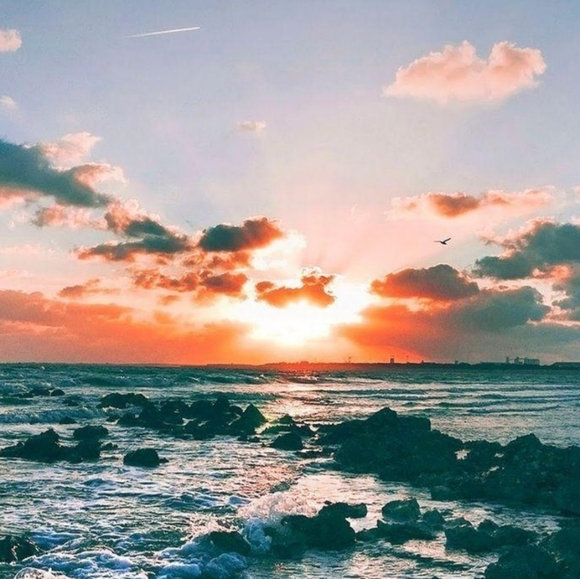 Meet your Posher, Morgan - Picture 2 of 2